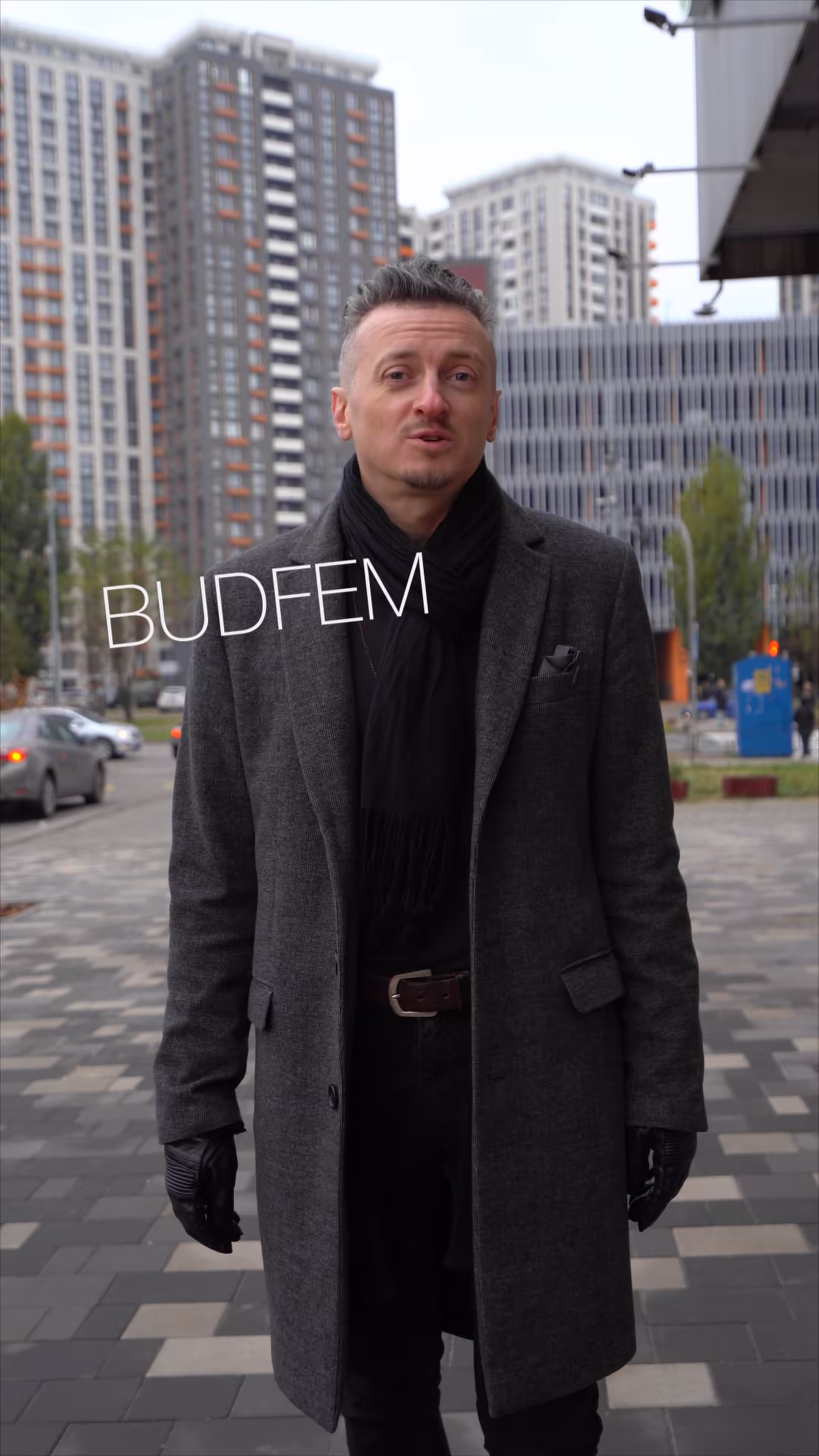 BUDFEM